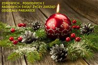 Pokaż zdjęcie w powiększeniu Gołębie zdjęcie
